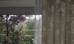 Bild 09